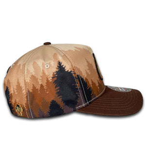 BIG BEAR BROWN