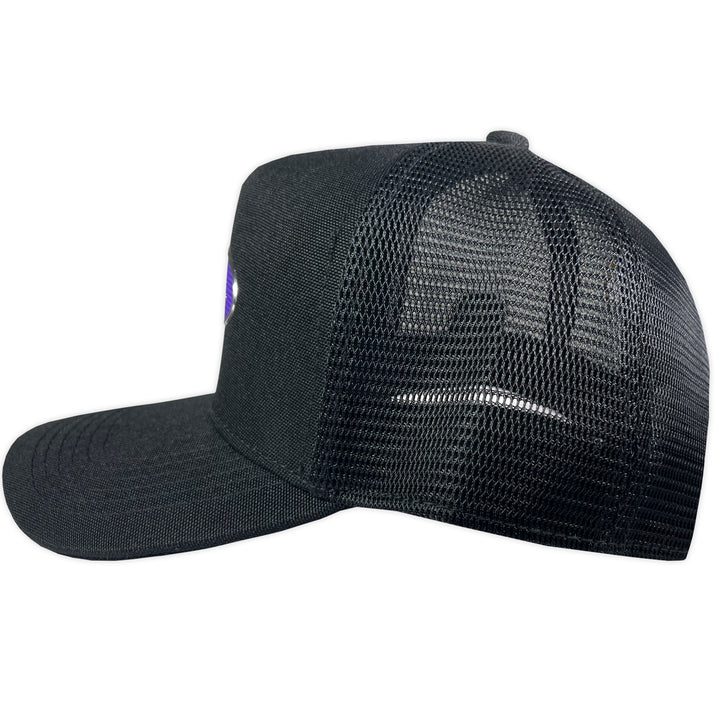 GORRA ALL IN BRAND CHROME MORADA TR