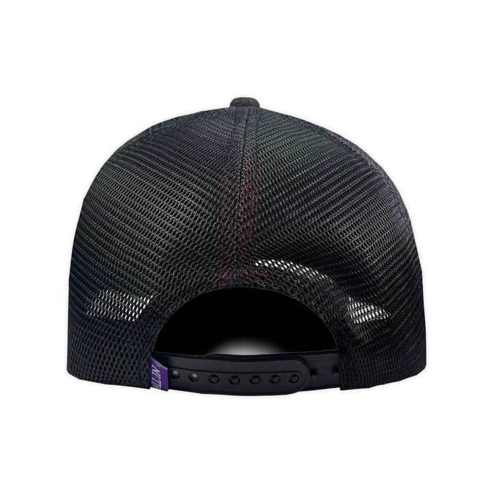 GORRA ALL IN BRAND CHROME MORADA TR