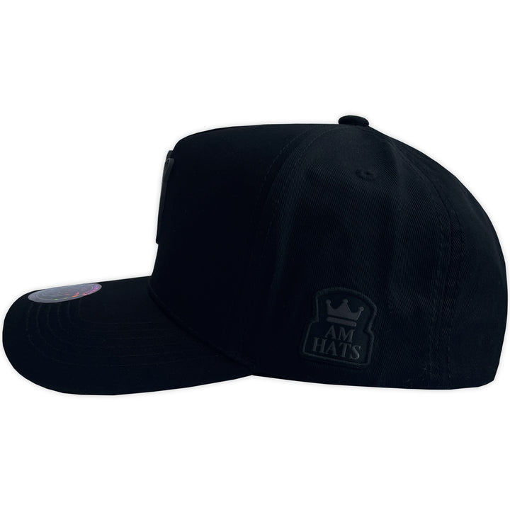 Gorra AM HATS PANTHER POWER CURVA BLACK