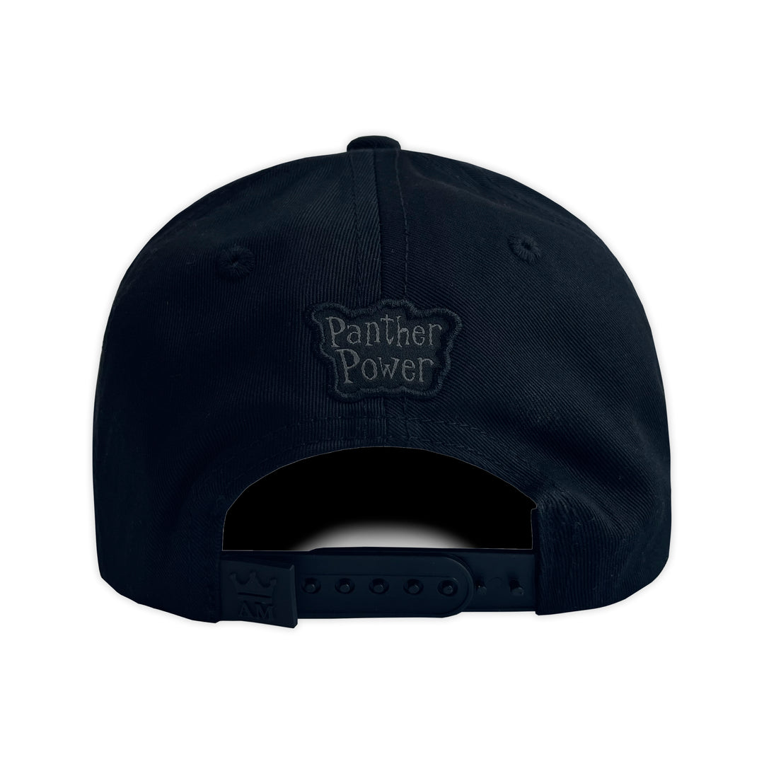 Gorra AM HATS PANTHER POWER CURVA BLACK