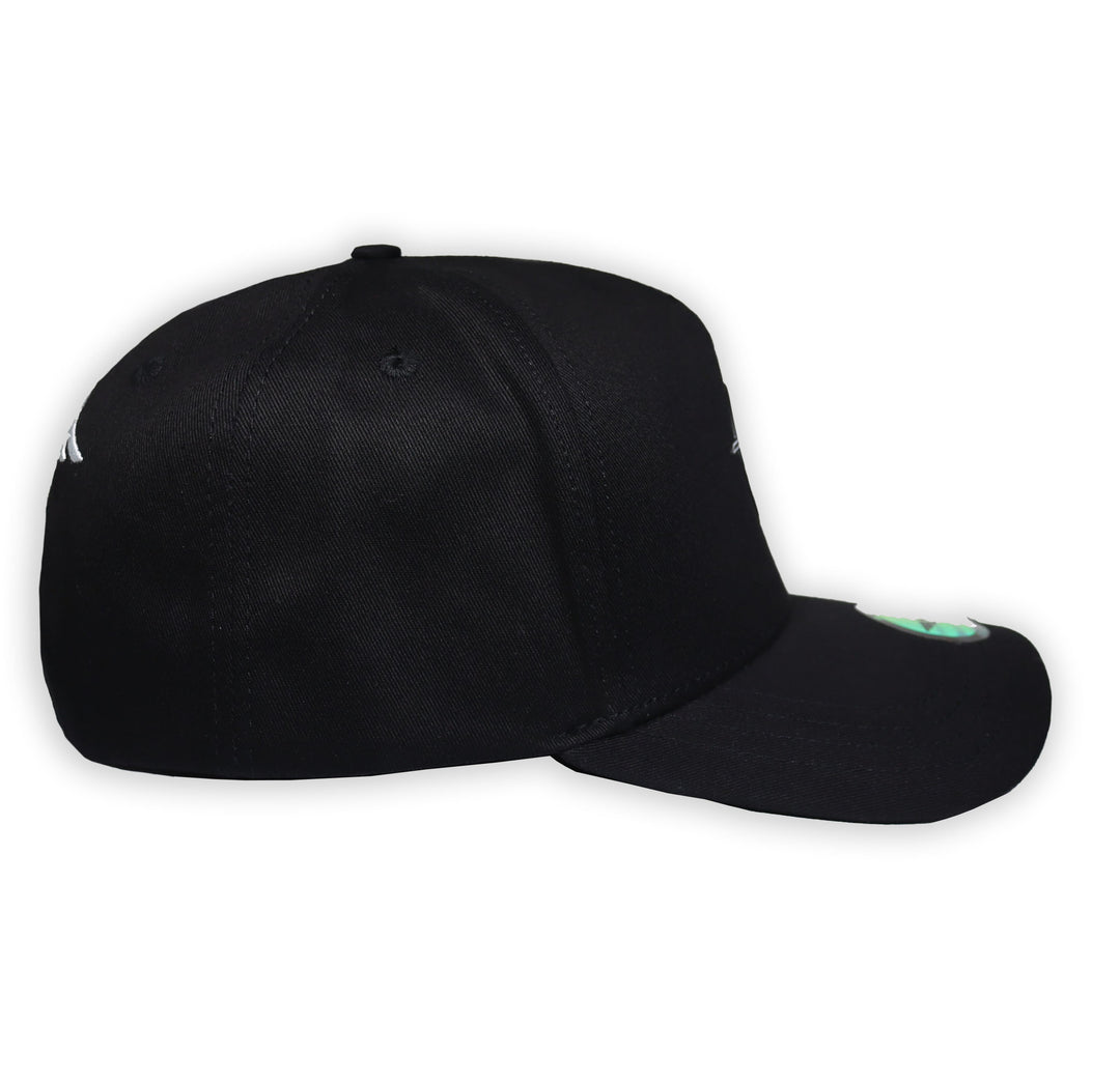 GORRA AM HATS CESSNA 2.0