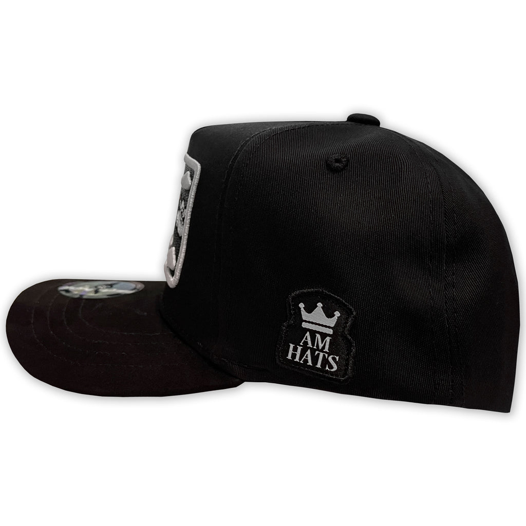 AM HATS AVION CLOUDS