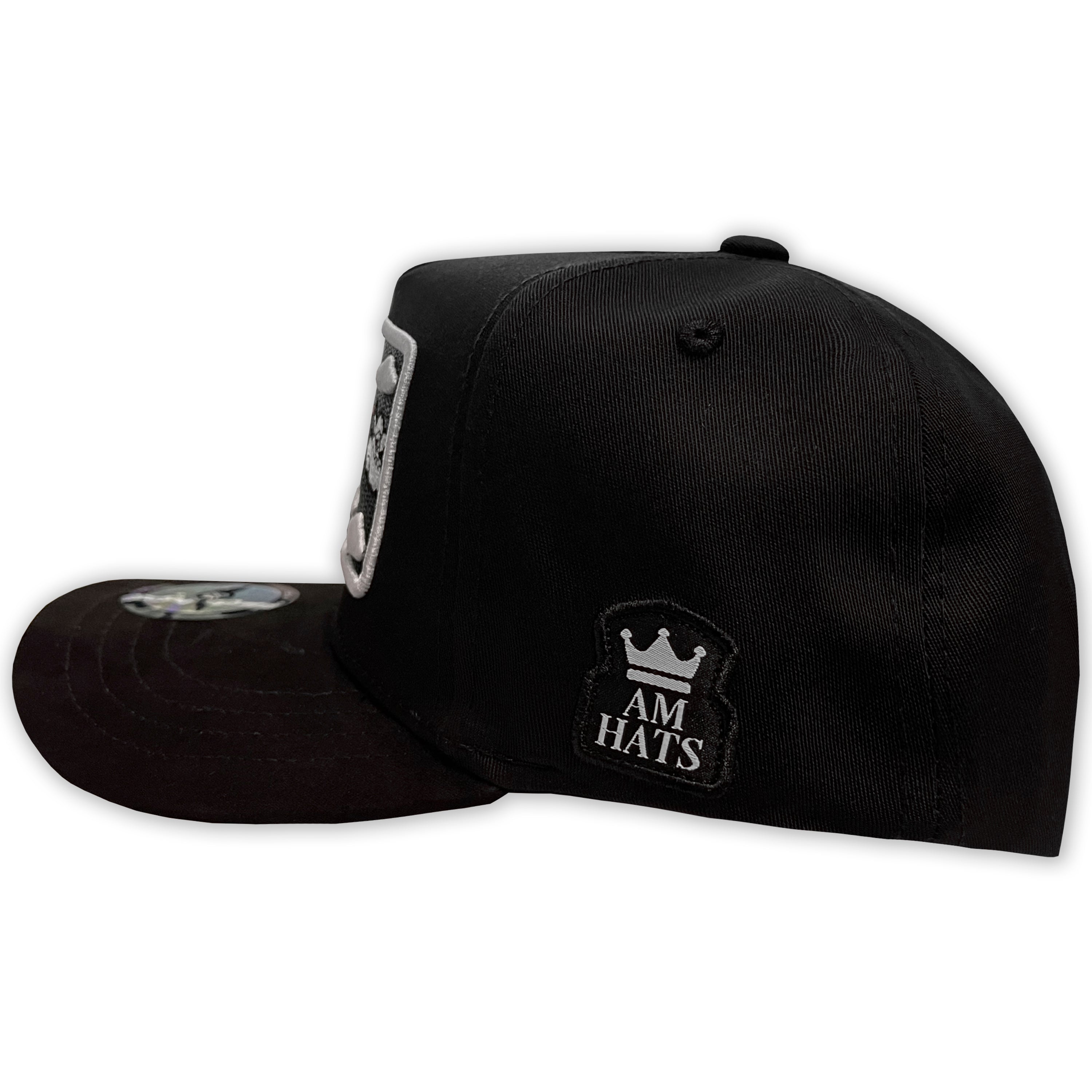 AM HATS AVION CLOUDS