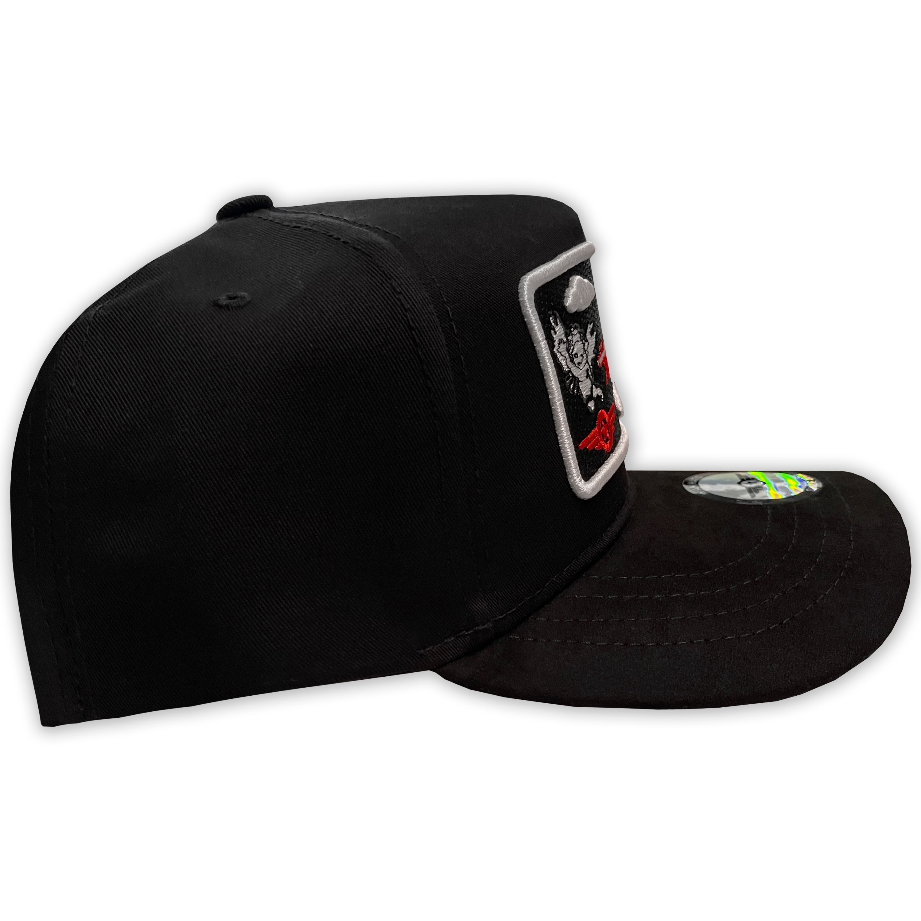 AM HATS AVION CLOUDS