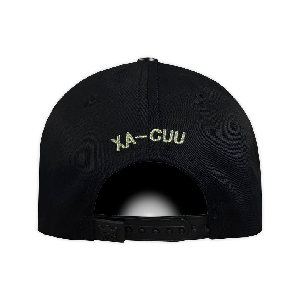 Gorra AM HATS AVION XA-CUU 2.0 DORADO