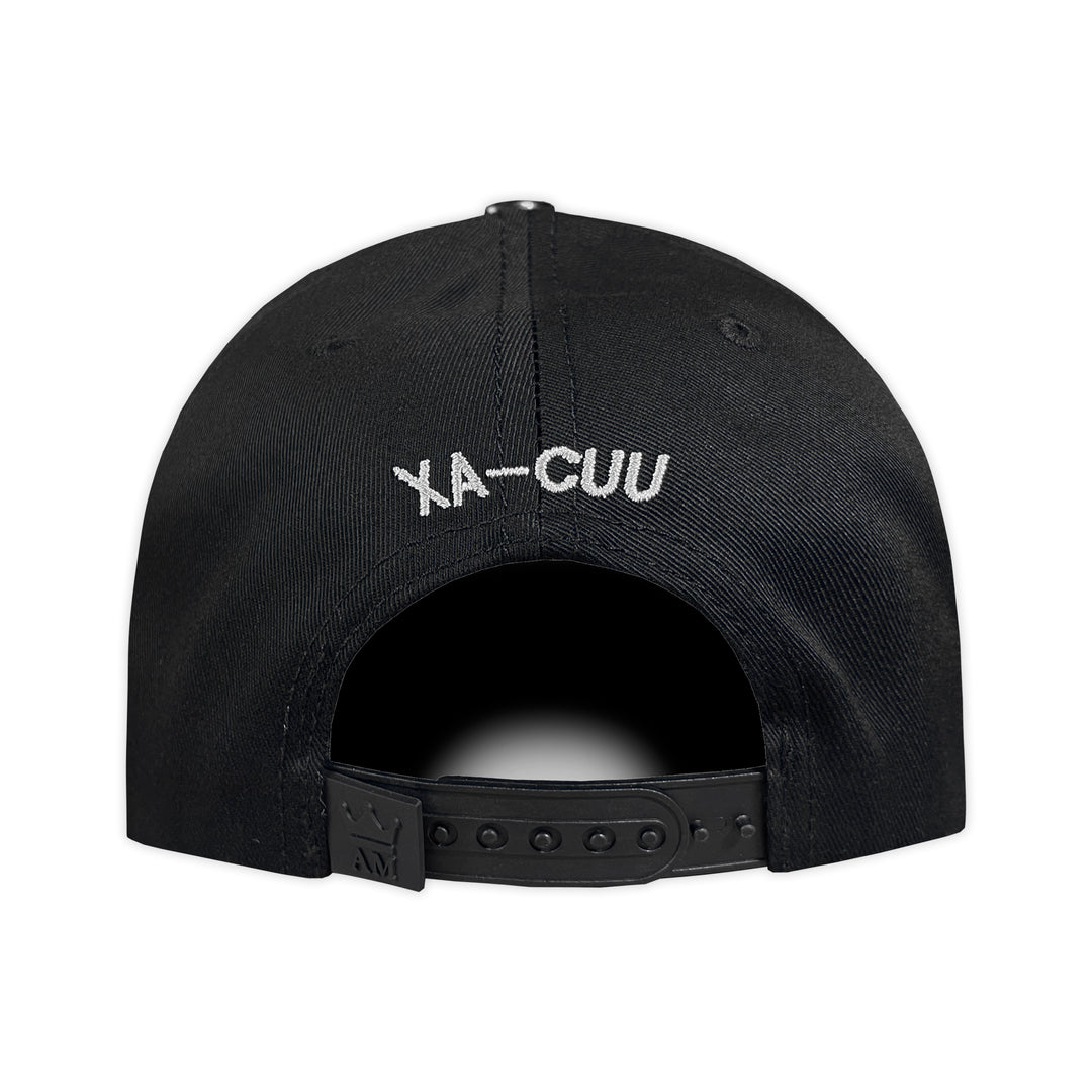 Gorra AM HATS AVION XA-CUU 2.0 PLATA