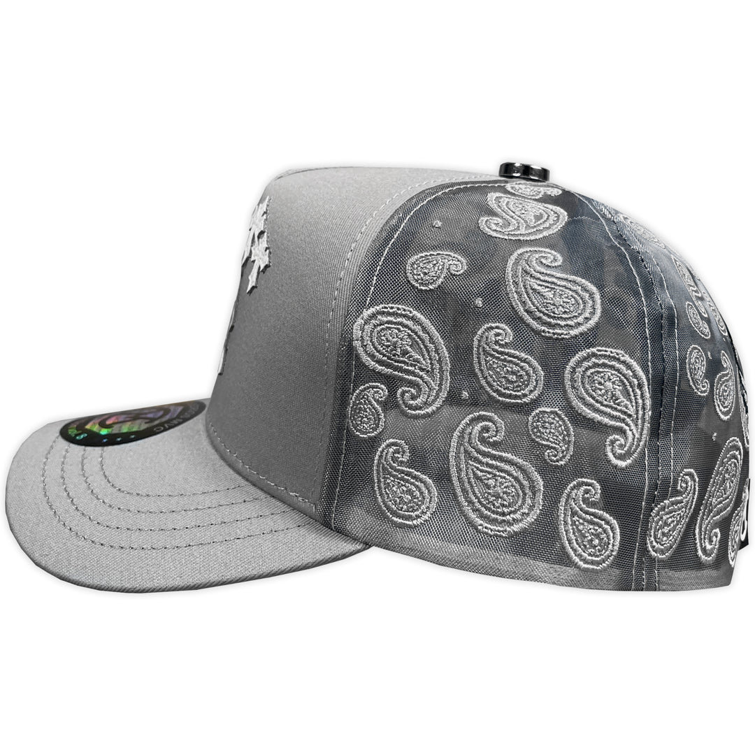 Gorra MVC LA CHROME GRAY MALLA VISERA CURVA