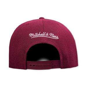 MITCHELL&NESS DODGERS TINTA