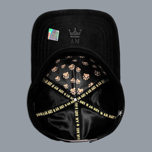 GORRA AM HATS OSO VISERA GAMUZA