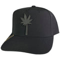 GORRA VAGO STYLE PALMOTA BLACK STRECH CURVA