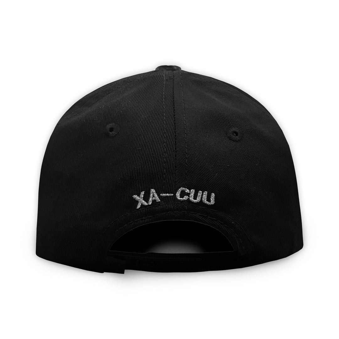 Gorra AM HATS AVION XA-CUU 2.0 PLATA