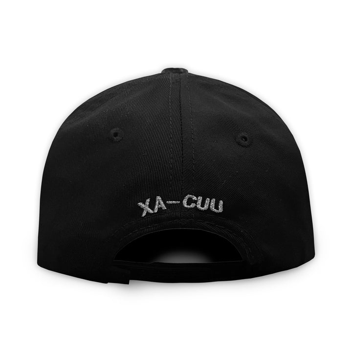 Gorra AM HATS AVION XA-CUU 2.0 PLATA