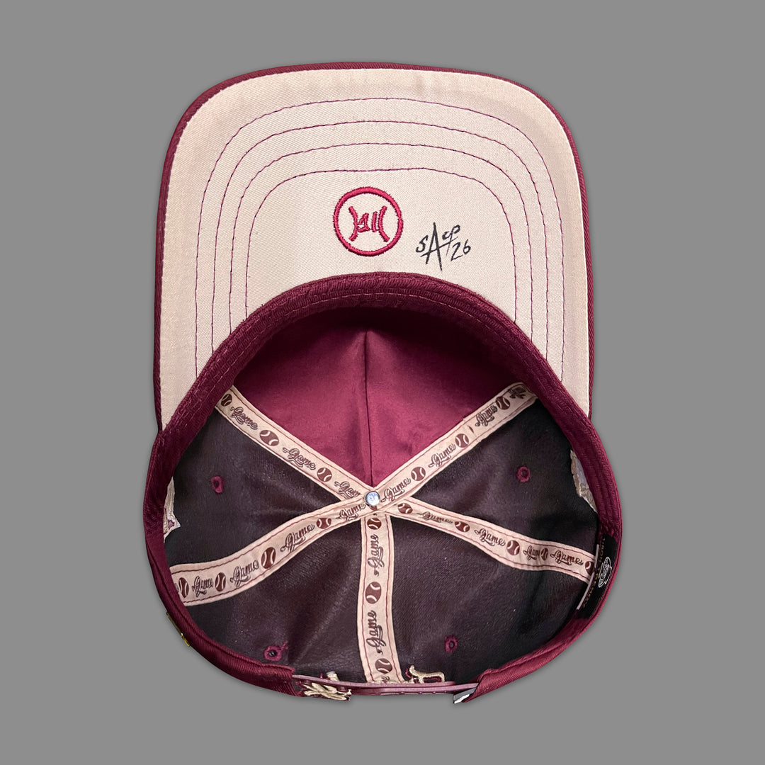 PAINT IRON TEAM WINE