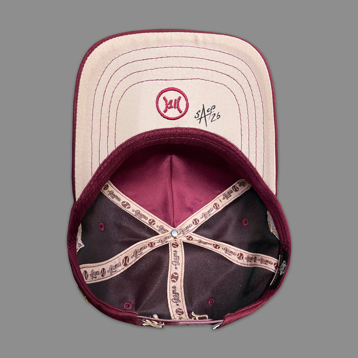 PAINT IRON TEAM WINE